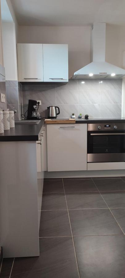 Logement Cosy Et Spacieux, A 2 Pas Du Centre-Ville Кольмар Екстер'єр фото